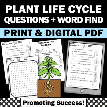 Directed Reading A Section The Rock Cycle Quiz Answers