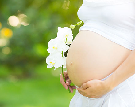 Physical Changes During Pregnancy The Merck Manuals