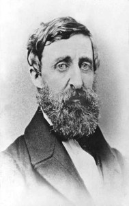 Download PDF The Journal of Henry David Thoreau 1837-1861