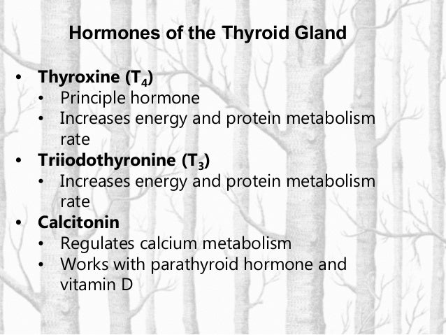 Selenium Stop the Thyroid Madness - [PDF Document]