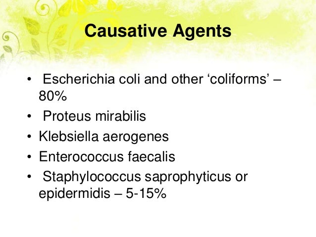 Pyelonephritis Definition and Patient Education Healthline