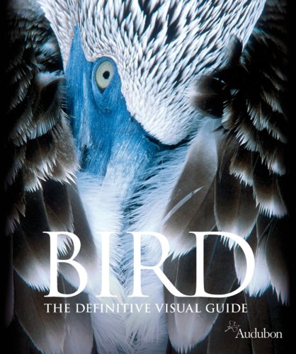 Science The Definitive Visual Guide Livraddict