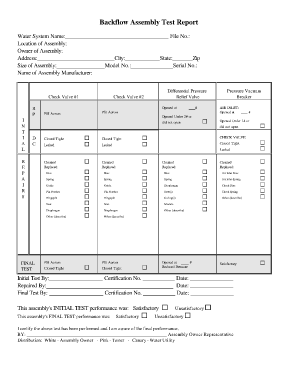 Backflow Preventer Report